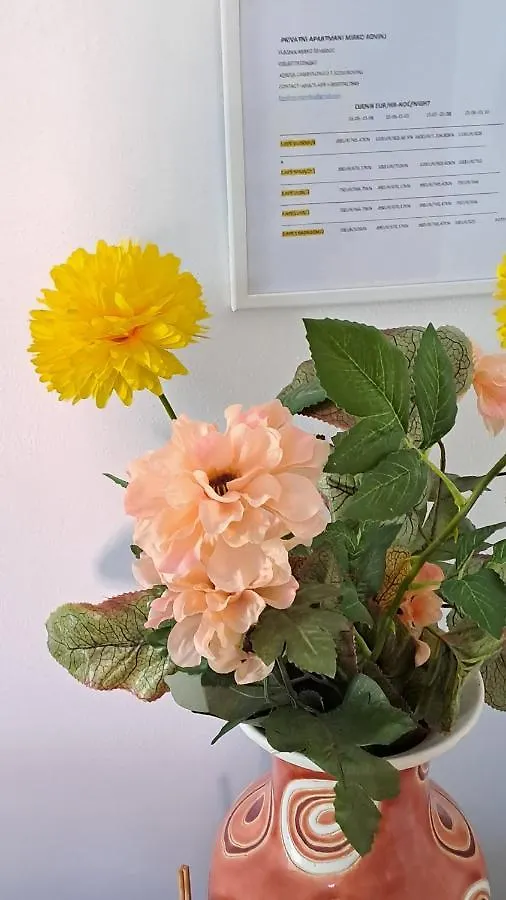 Apartmani Mirko Rovinj Apartment