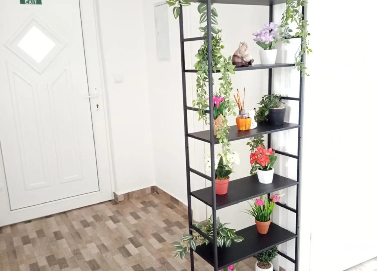 Apartmani Mirko Rovinj Chorwacja